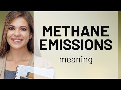 Understanding Methane Emissions: A Guide to Climate Change