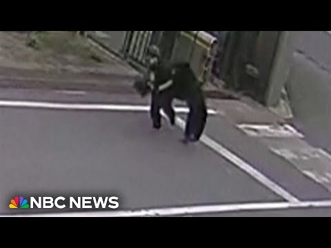 Bear attacks in Japan on the rise