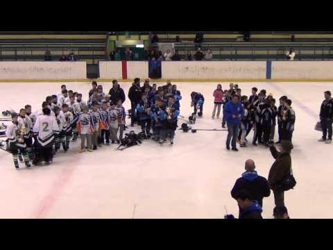 Tisza Pakk Kupa Díjátó