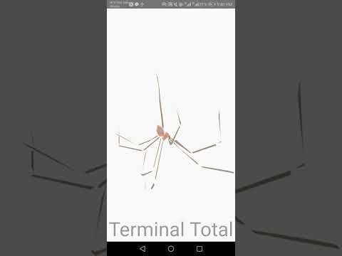 Place A Plate: 2nd Installment video thumbnail