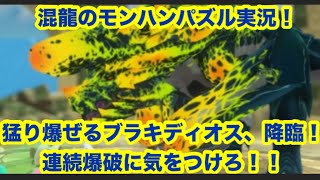 混龍のモンスターハンターパズル・アイルーアイランド実況part３１