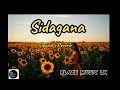 Sidagana Song SLOWED REVERB BLAZE MUSIC LK