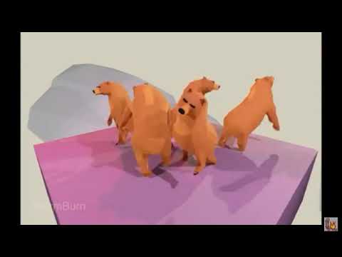 Bears dance to sweet dreams