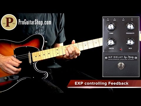 Moog Minifooger MF Analog Delay image 7
