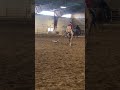 IMG 4425