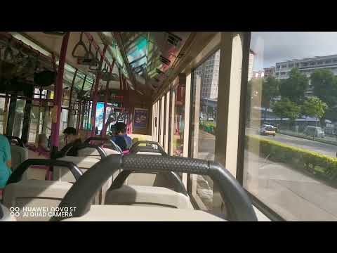 SBS Transit Scania K230UB Euro V Gemilang SBS8721B On Service 116