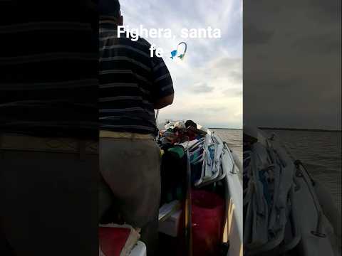 Despidiendo el 2025 🎣, en fighera, Santa fe