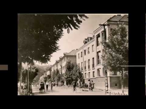 Mircea Hohoiu-Und a...