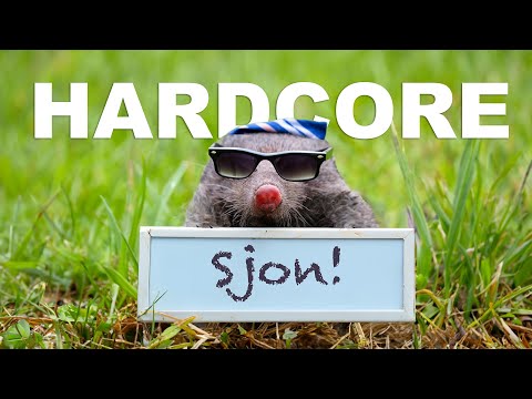 Sjon de Mol - Jij bent zo lief, leuk, aardig en zo knap! (Hardcore Hardstyle)