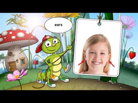 Bugs Team 1 - Colin's cards - Unit 3