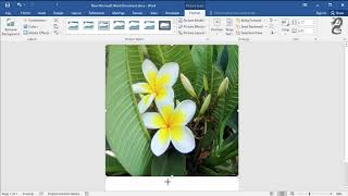 How to make an image fill the entire page in Word Using full size of page for an image
