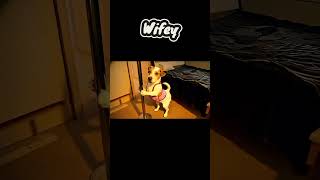 Wifey 🤣 #funny #funnyshorts #fyp