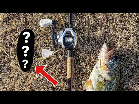 IS THIS $100 BAIT WORTH THE MONEY? Test & Review