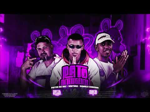 PISTEN NA VOZ, ROMULO CHAVOSO E VENTURA - RATO INTELIGENTE - BREGA FUNK - REMIX BREGA FUNK