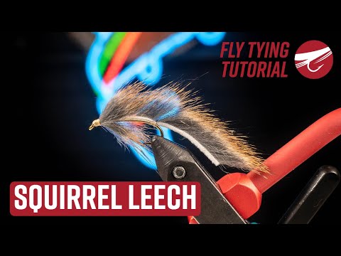 Pine Squirrel Leech | FLY TYING TUTORIAL