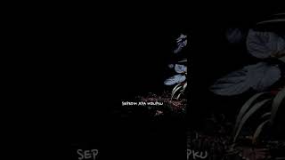 Download lagu Story wa sedih (LAGU)WALI BAND 💫💕 mp3