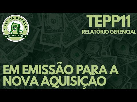 TEPP11 - DOIS IMÓVEIS PRONTOS PARA SEREM VENDIDOS, SERÁ QUE TEREMOS NOVIDADES ANO QUE VEM?