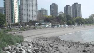 the voice of hope y lara martin.wmv