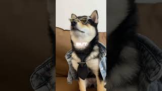 Cover art for manyu is cool