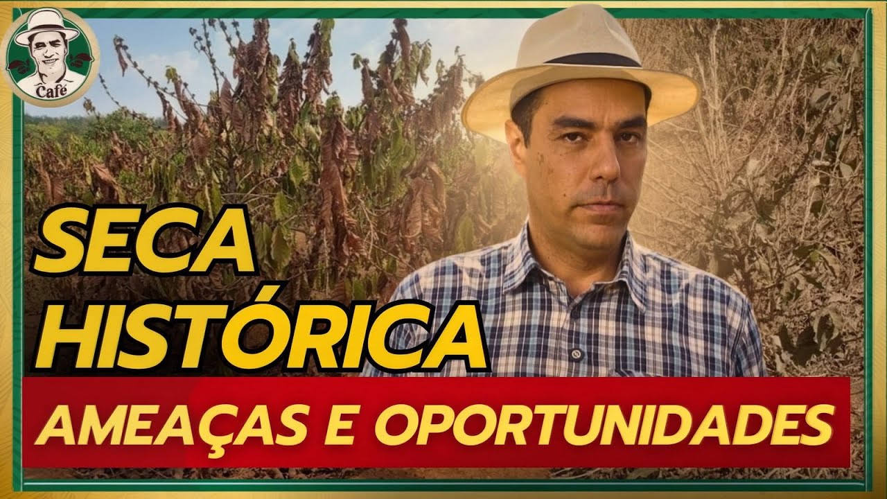 Como podemos aproveitar esta seca para tomarmos boas decisões