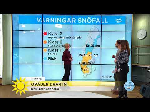 Nu drar vinterovädret in - Nyhetsmorgon (TV4)