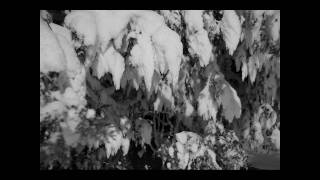 Ontario Nature. Winter. Ryuichi Sakamoto "Merry Christmas"