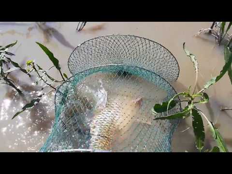 Pescuit Gliganu de Sus