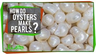 How Do Oysters Make Pearls?