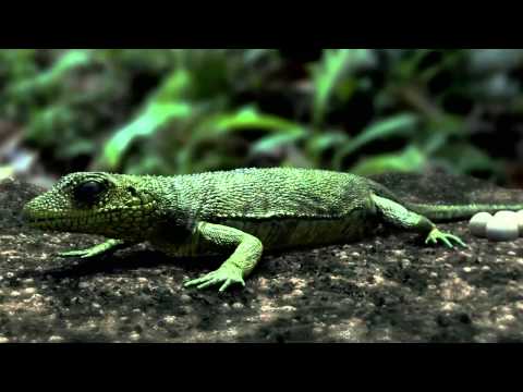 Die Geschichte der Welt vom Urknall bis heute Teil 2