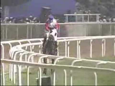 2008 Dubai Duty Free 杜拜免稅店盃