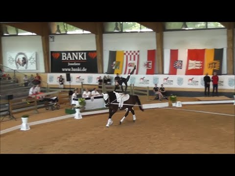 Deutsche Jugendmeisterschaft München 2023 - Einzelvoltigieren - Lukas Heitmann