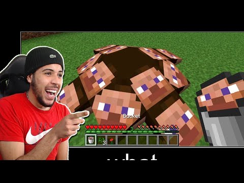 THESE MINECRAFT BUGS ARE TOO FUN.. (Weird)