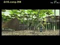 A Bug S Life Behind The Scenes Al Pacino Dialogue Animation Test WARNING STRONG LANGUAGE