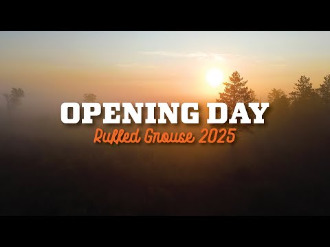 Hot Weather, Thick Cover! Opening Day 2025 Ruffed Grouse Season + Vest Dump (Field Essentials)
