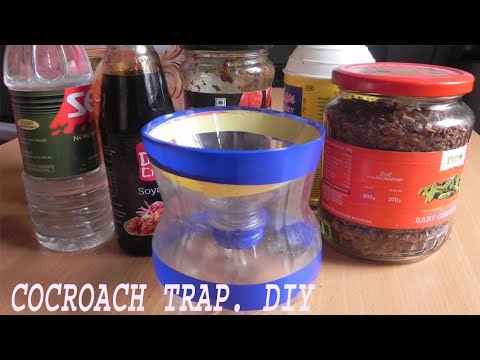How to make a Cockroach Trap |DIY .