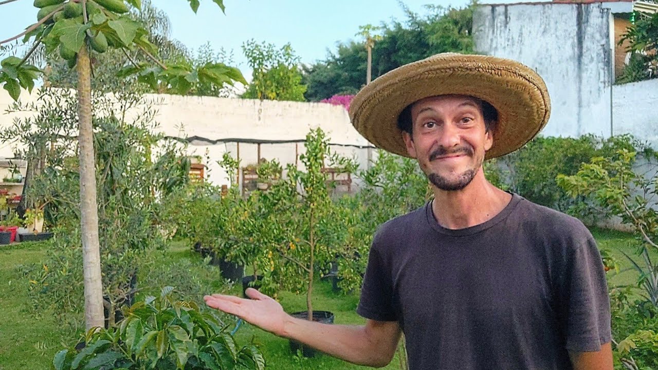 NÃO PLANTE EM VASOS ANTES DE ASSISTIR ESSE VÍDEO.