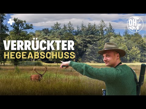 Have you ever seen this HEGEABSCHUSS?🦌 Red deer & buck hunting