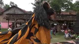 Download lagu singomanis ...barongan live in kumpulrejo mp3