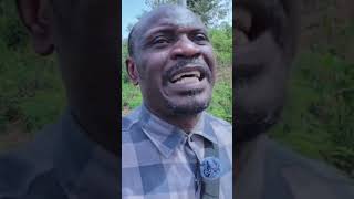 WATCH: much did Ghana receive from giving the Damang mine to Ibrahim Mahama?  #mining #kyantengnews