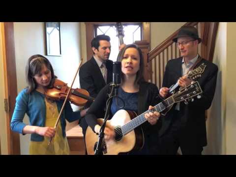 LOW LILY House Carpenter