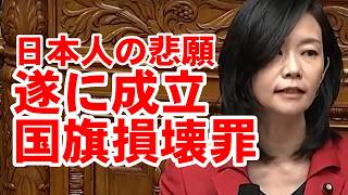 遂に制定国旗損壊罪👍【日本人ファースト参政党梅村みずほ議員🫡】7/17参議院本会議より