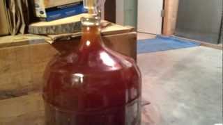 preview picture of video 'Homebrew Wednesday Fermenting Space/Cellar Show Off & Secondary Issue'