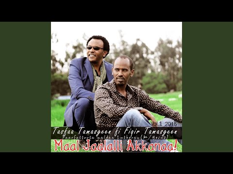 Akka Albuuda Ulfaataa