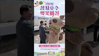 2026 구리시 장자호수 벚꽃마실 축제 이미지