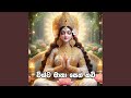 Vishwa Matha Seth Kavi