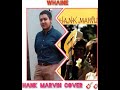 Wahine Hank Marvin Cover (Pedal Wah Wah) a Free Tab ⬇️⬇️⬇️⬇️