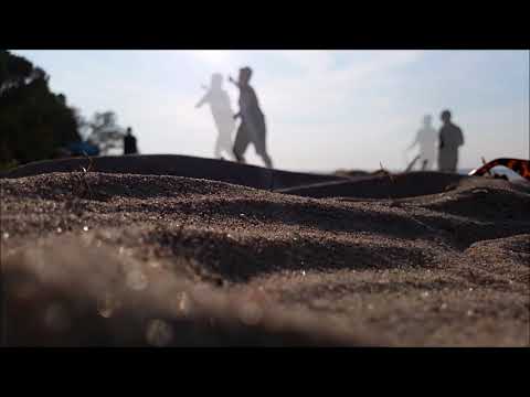 Frits Wentink - Vertiqua 1