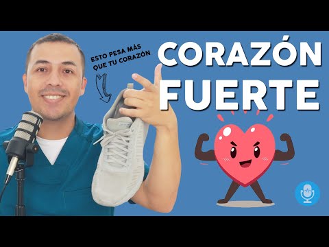 Corazón, 🧡🤯 que es ?