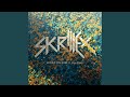 Would You Ever by Skrillex