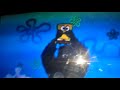 I Had An Accident Spongebob 2003 The End